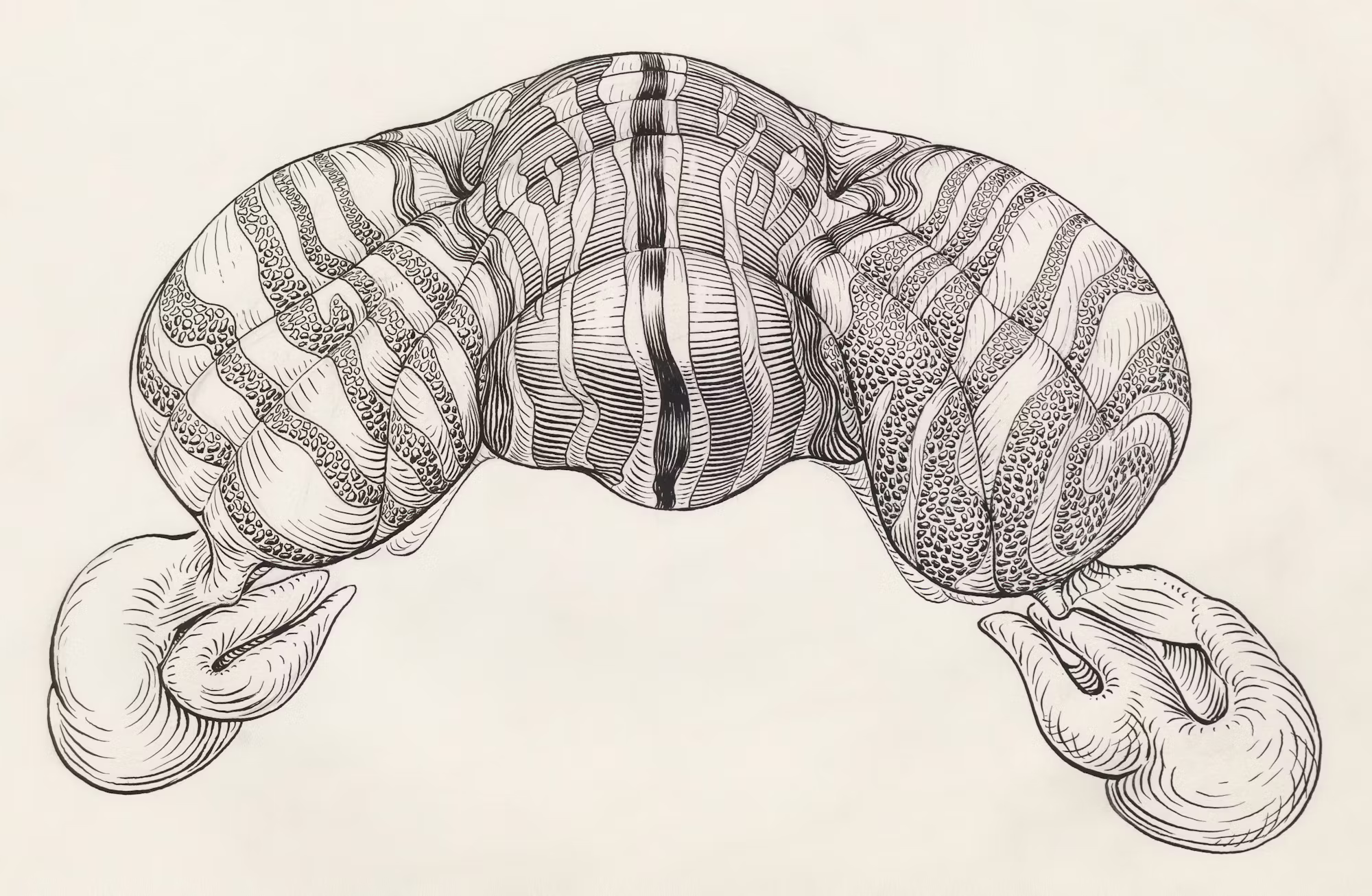 The Future of Telemedicine: Revolutionizing Healthcare Access and Delivery